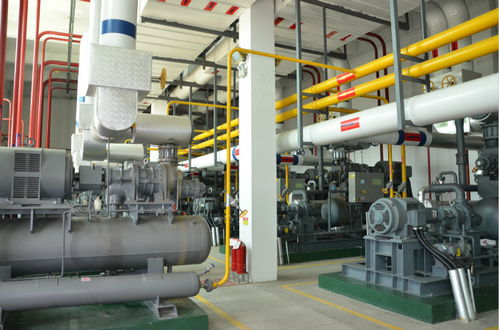 山东春雪食品 科技赋能安全生产