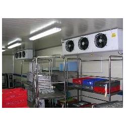 冷冻库批发 冷冻库供应 冷冻库厂家 